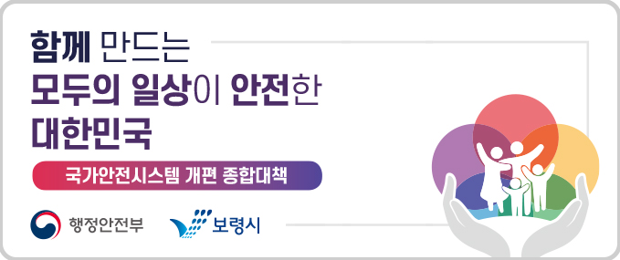 함께 만드는 모두의 일상이 안전한 대한민국 국가안전시스템 개편 종합대책 행정안전부 보령시