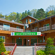 Mt.Seongjusan Natural Forest [photo]