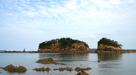 Janggodo Island [photo]